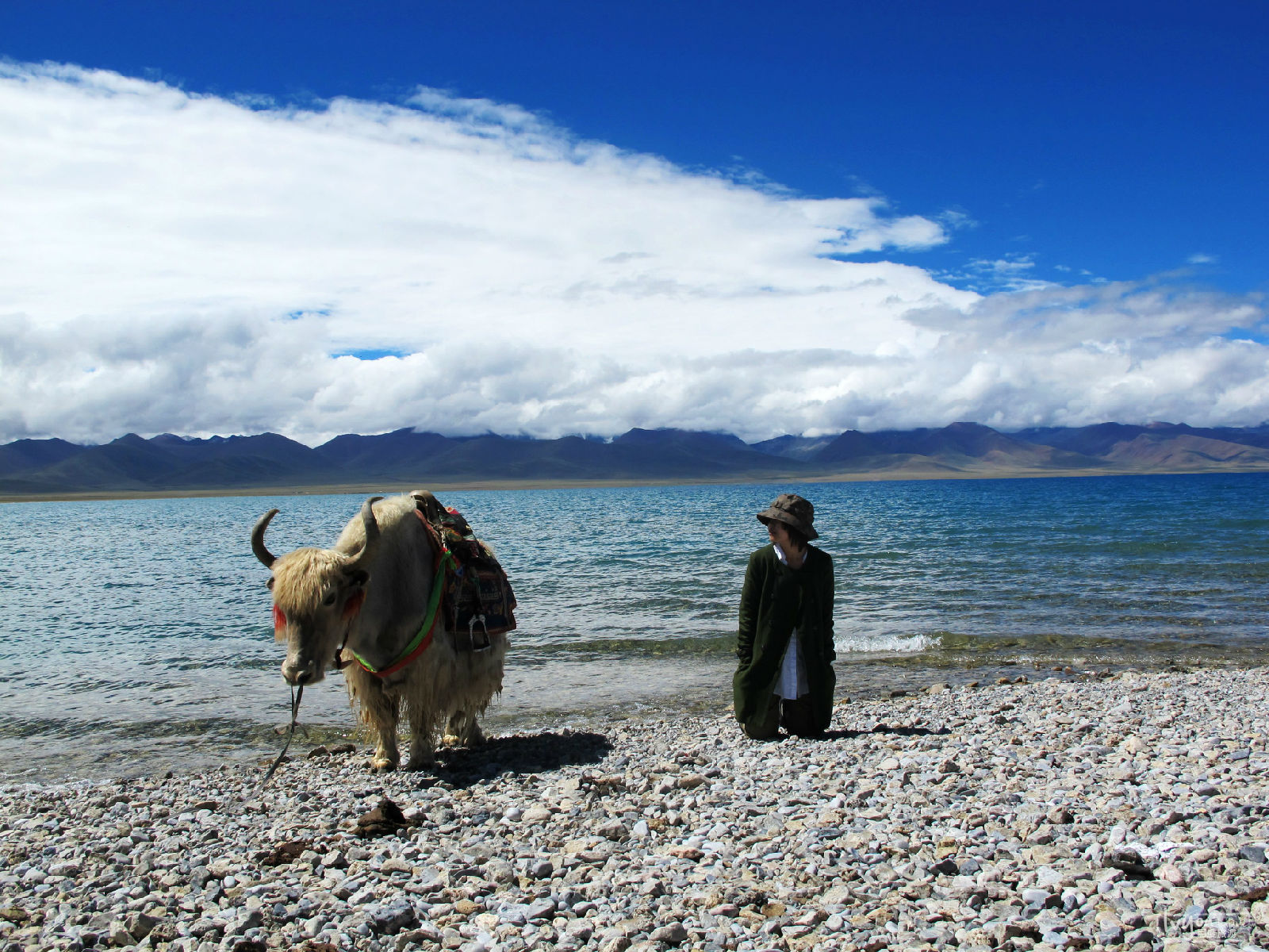 拉薩、林芝、日喀則、納木錯、波密然烏湖雙臥