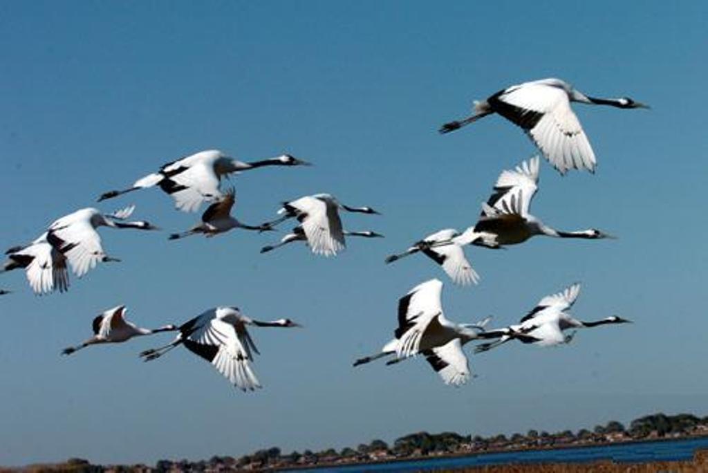 B線(xiàn)-俄羅斯海參崴 長(zhǎng)白山 鏡泊湖 長(zhǎng)春 山海關(guān) 旅