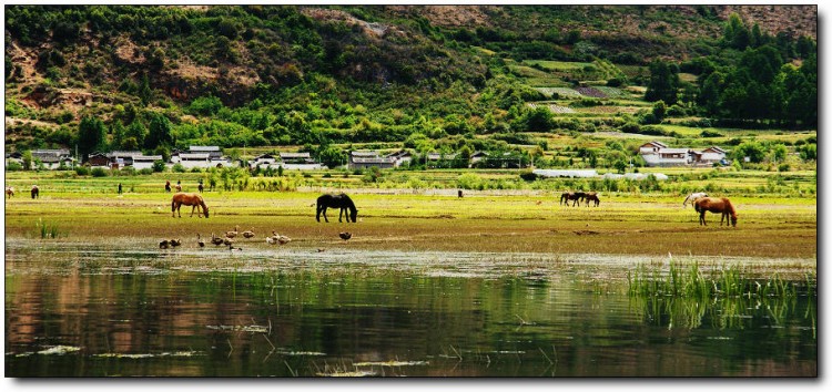 【大版環(huán)飛4星】昆明、大理、麗江、西雙版納