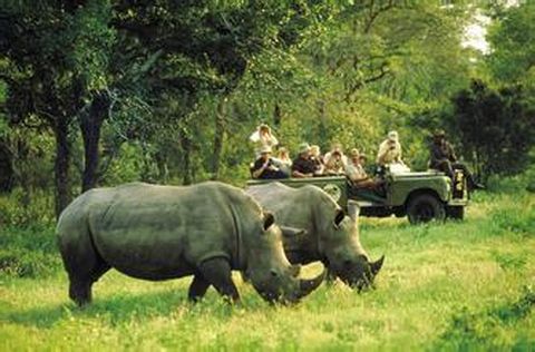 <南非10日游>1晚奧茨頌，克魯格公園， 船游珊瑚