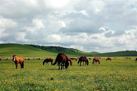 木蘭圍場、內(nèi)蒙古烏蘭布通草原3日