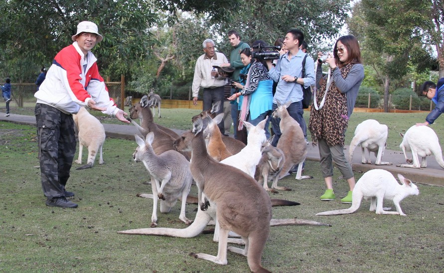 澳新凱12日(酒店升級(jí)大堡礁住宿)