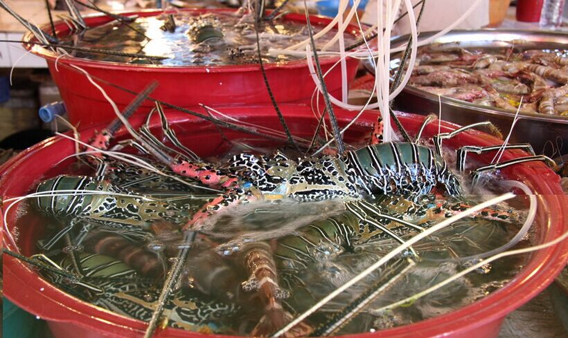 長(zhǎng)灘島半自由行4晚6日<含領(lǐng)隊(duì)>風(fēng)帆出?？慈?/>
                                    </a>
                                </div>
                                <p class=