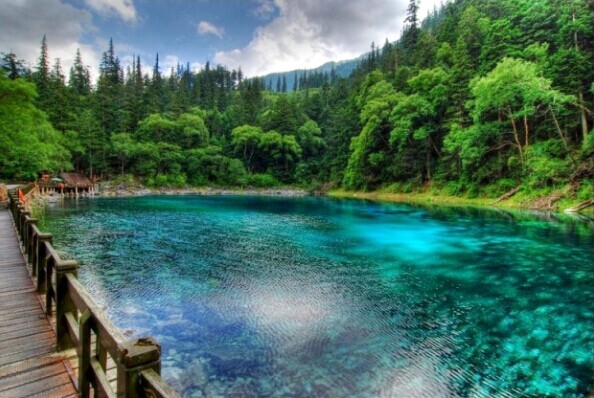 成都、九寨溝、黃龍雙飛5日**純玩**