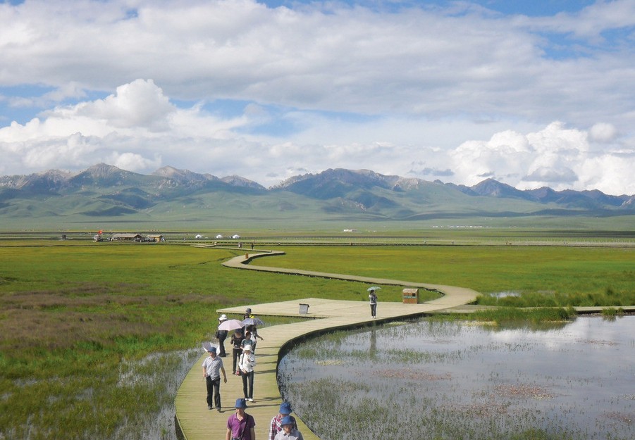 成都、花湖、若爾蓋、九曲第一灣雙飛5日