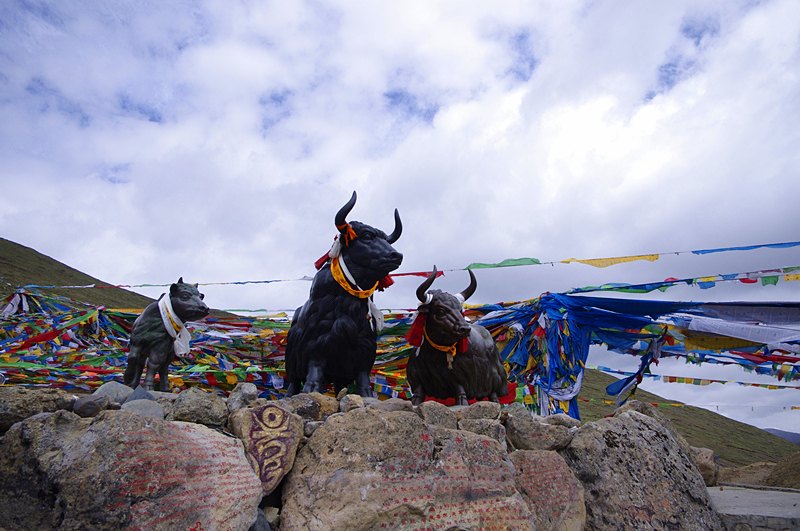 <西藏全景雙臥12日游>0自費，轉雙湖，林芝2晚，
